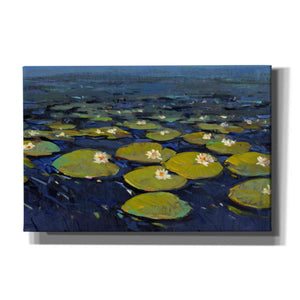 'Lily Pads I' by Tim O'Toole, Canvas Wall Art