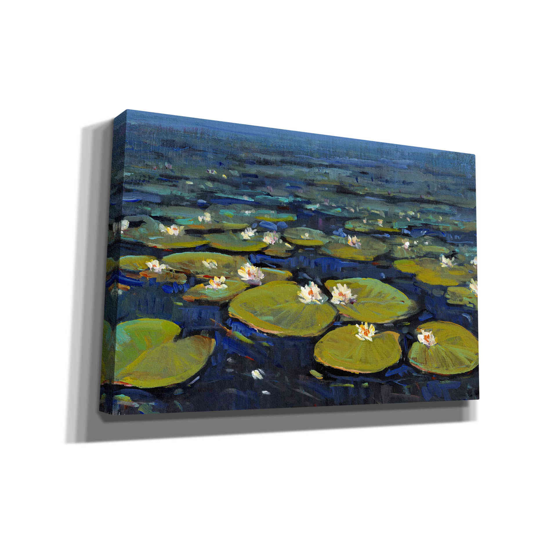 'Lily Pads II' by Tim O'Toole, Canvas Wall Art