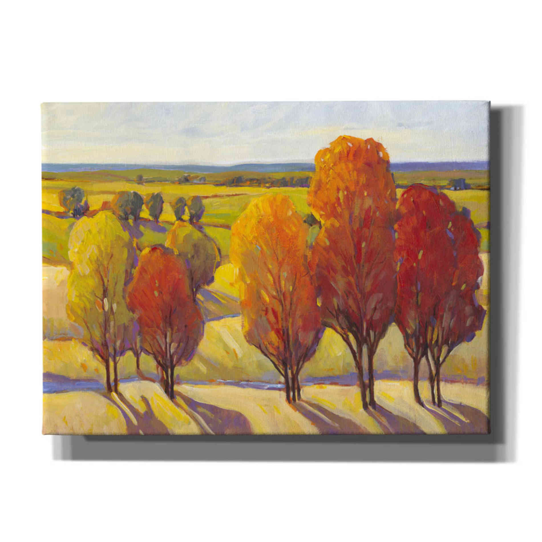'Day Glow I' by Tim O'Toole, Canvas Wall Art
