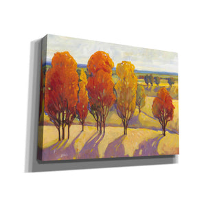 'Day Glow II' by Tim O'Toole, Canvas Wall Art