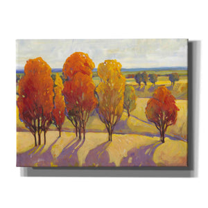 'Day Glow II' by Tim O'Toole, Canvas Wall Art