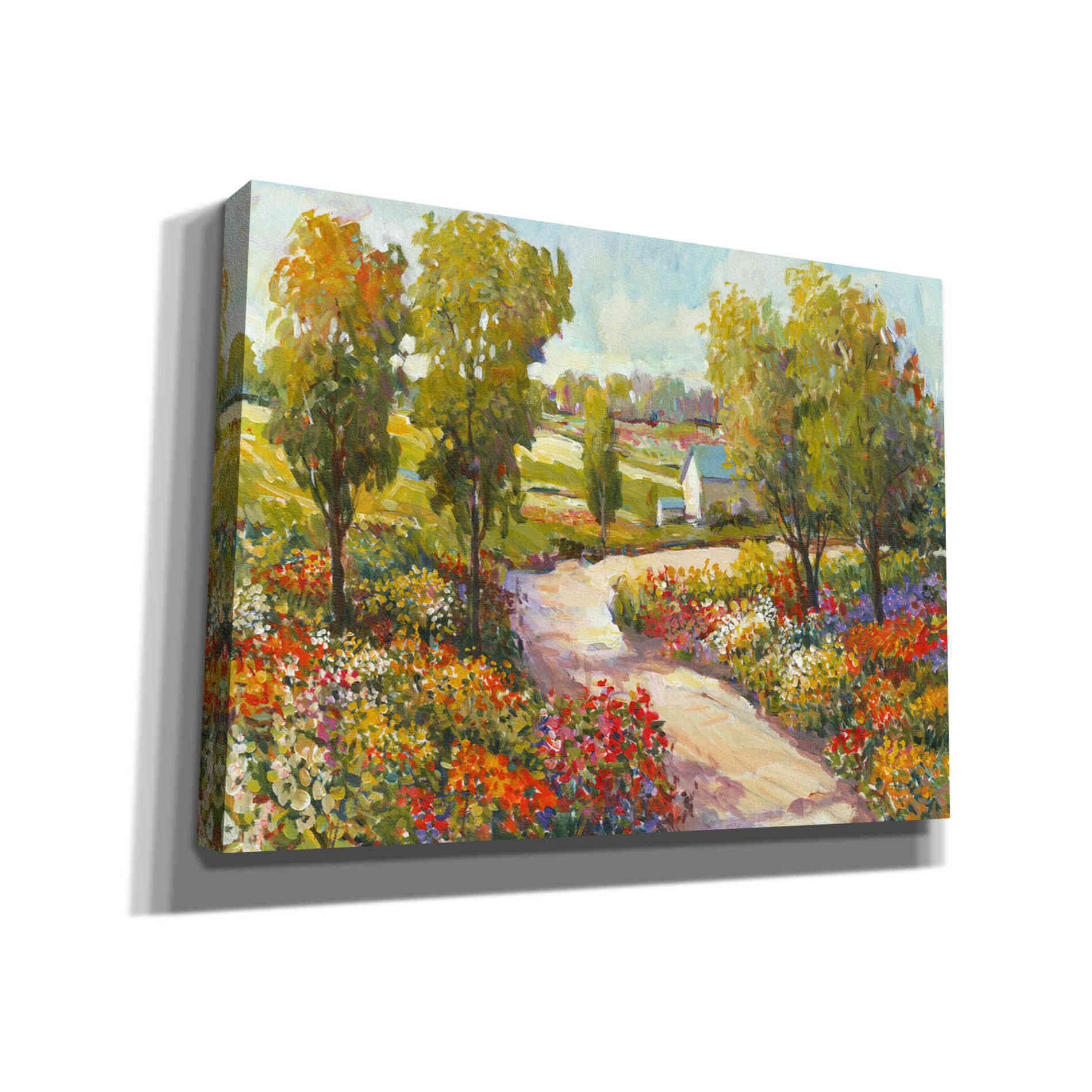 'Morning Walk I' by Tim O'Toole, Canvas Wall Art