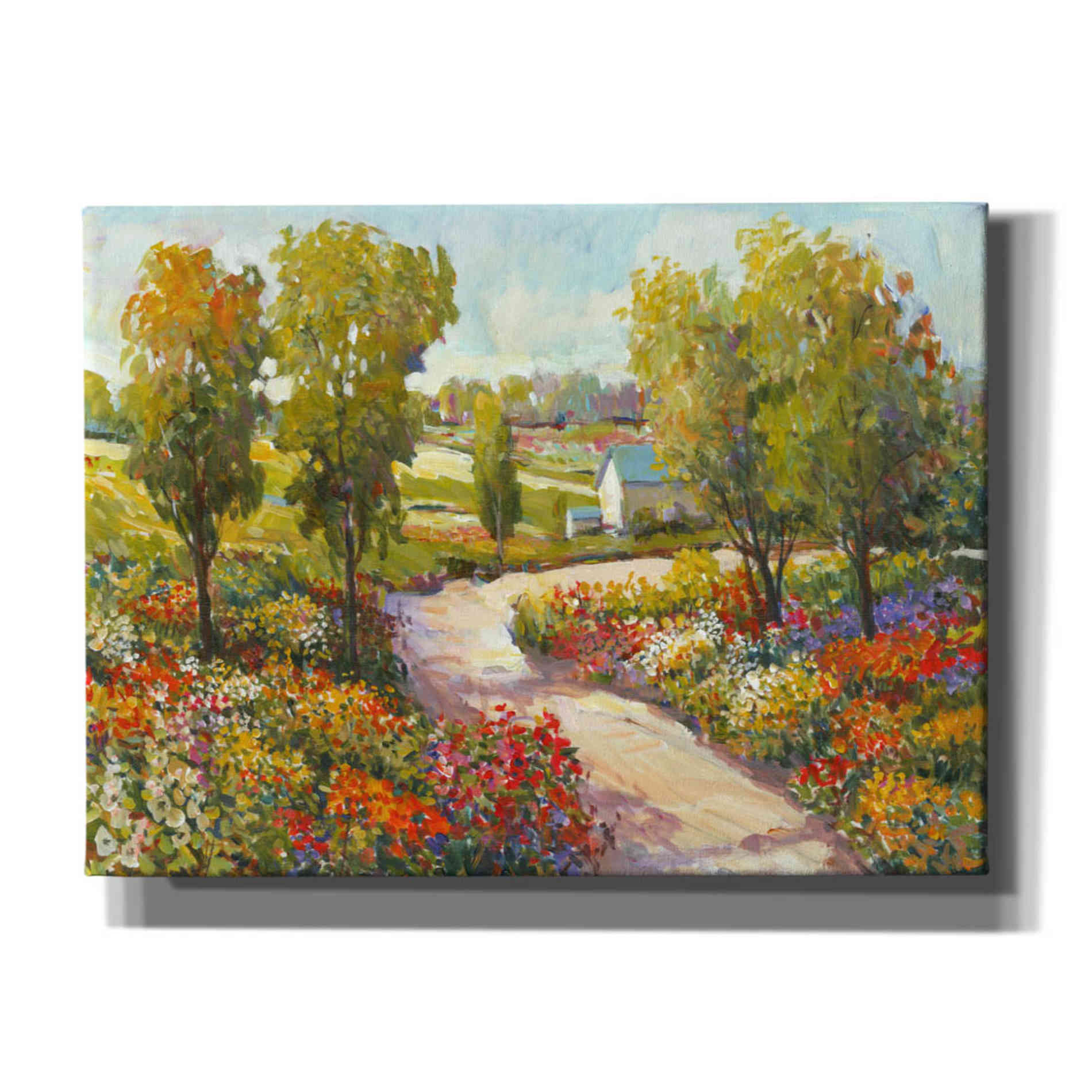 'Morning Walk I' by Tim O'Toole, Canvas Wall Art
