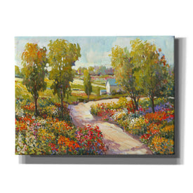 'Morning Walk I' by Tim O'Toole, Canvas Wall Art