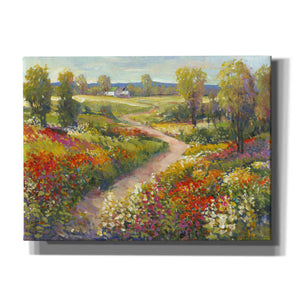 'Morning Walk II' by Tim O'Toole, Canvas Wall Art