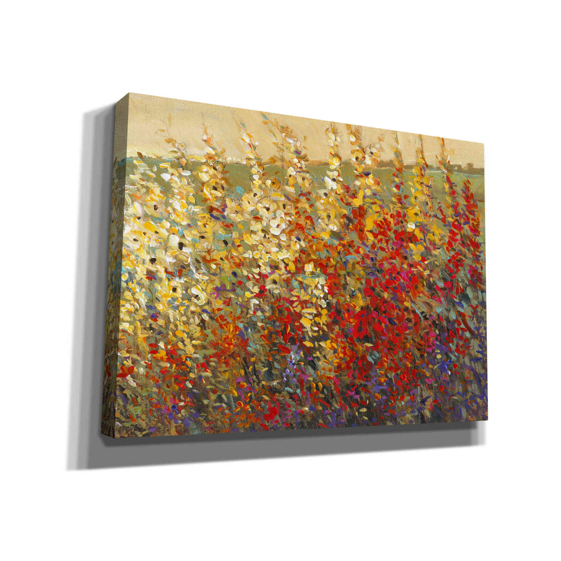 'Field of Spring Flowers I' by Tim O'Toole, Canvas Wall Art