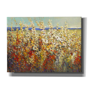 'Field of Spring Flowers II' by Tim O'Toole, Canvas Wall Art