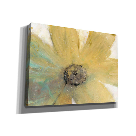 Image of 'Floral Spirit II' by Tim O'Toole, Canvas Wall Art