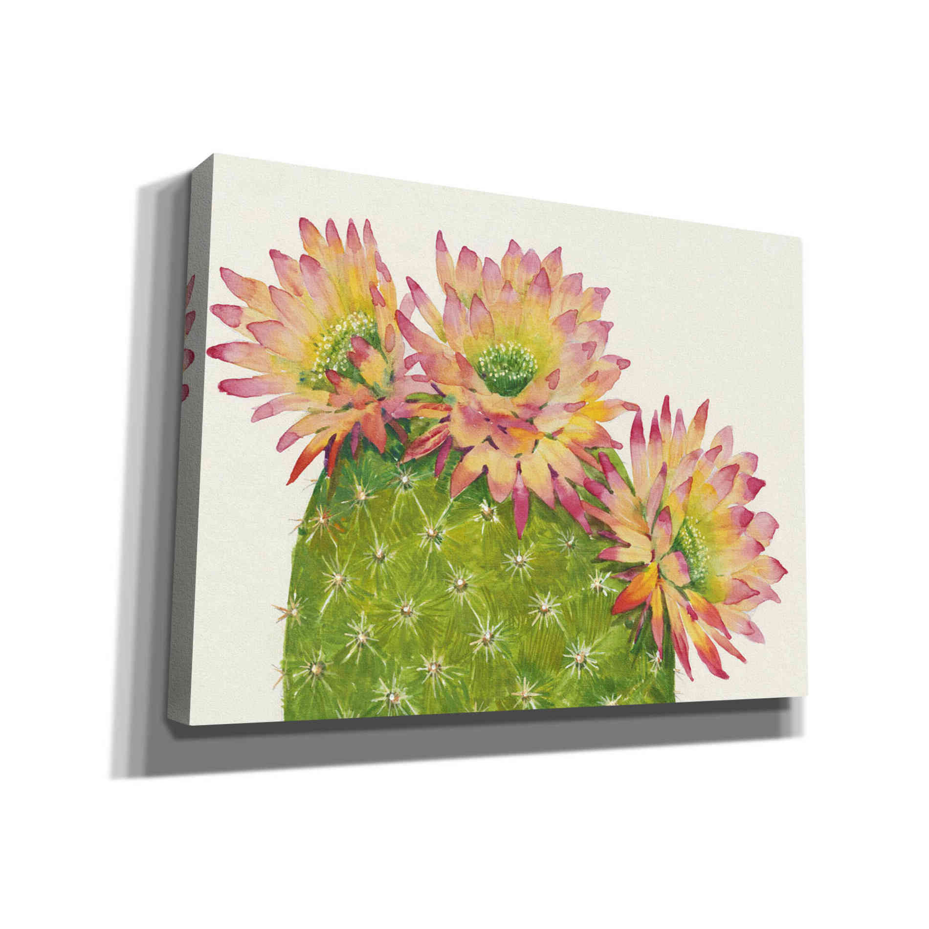 'Desert Blossoms I' by Tim O'Toole, Canvas Wall Art
