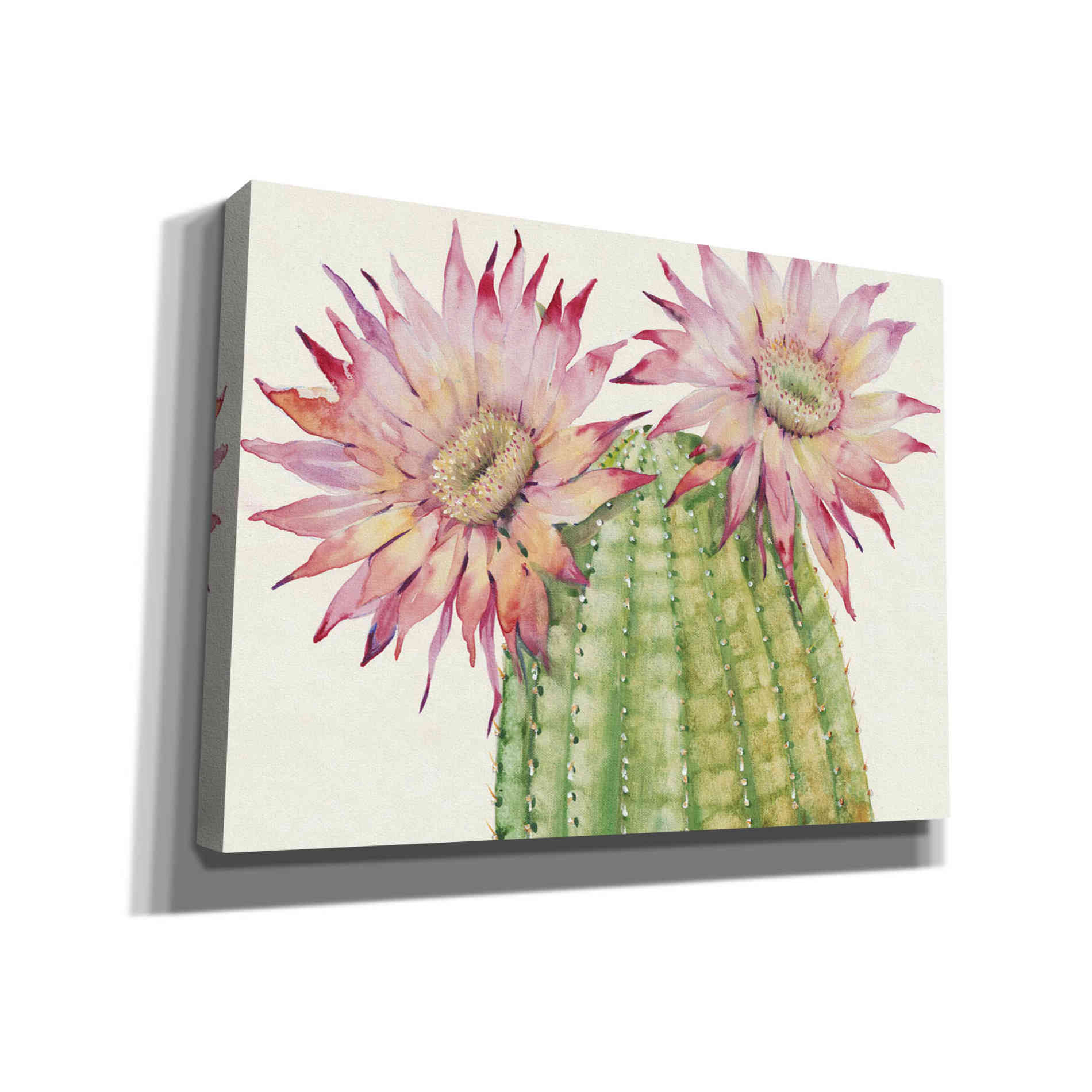 'Desert Blossoms II' by Tim O'Toole, Canvas Wall Art