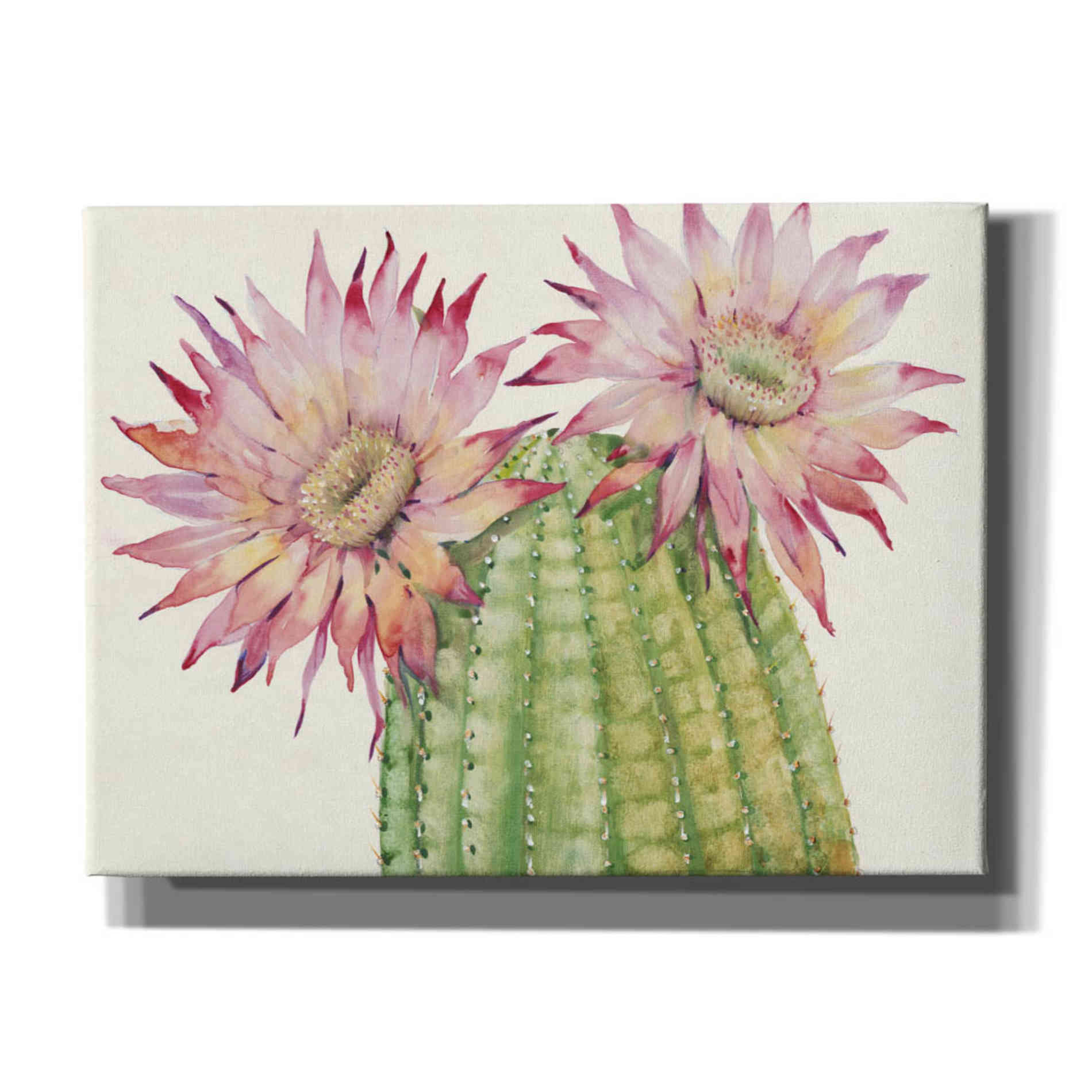 'Desert Blossoms II' by Tim O'Toole, Canvas Wall Art