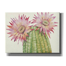 'Desert Blossoms II' by Tim O'Toole, Canvas Wall Art