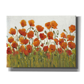 'Rows of Poppies I' by Tim O'Toole, Canvas Wall Art