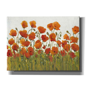'Rows of Poppies I' by Tim O'Toole, Canvas Wall Art