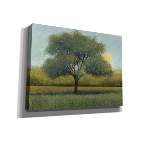 Image of 'Sunrise I' by Tim O'Toole, Canvas Wall Art