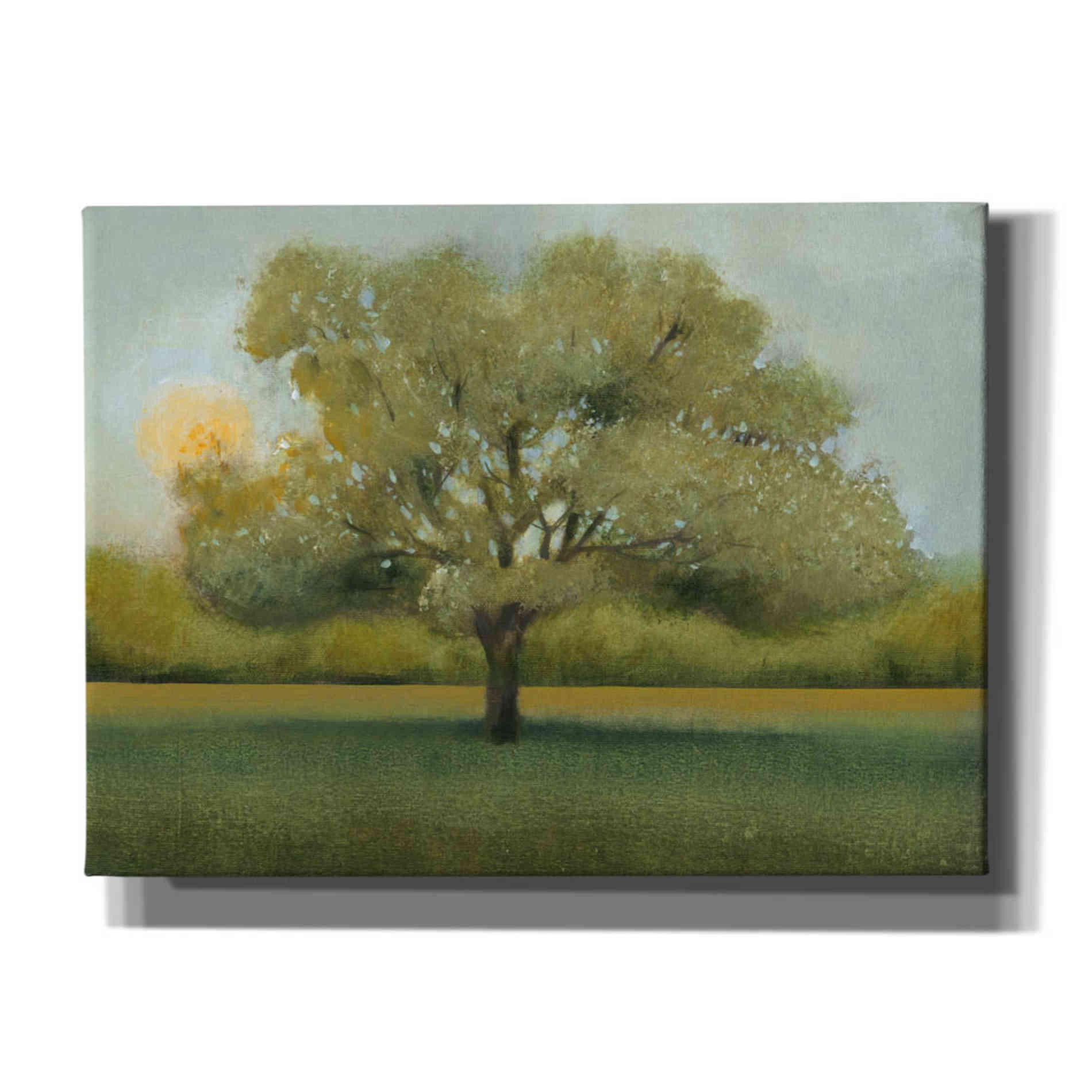 'Sunrise II' by Tim O'Toole, Canvas Wall Art