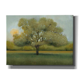 'Sunrise II' by Tim O'Toole, Canvas Wall Art