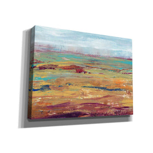 'Terra Vista II' by Tim O'Toole, Canvas Wall Art