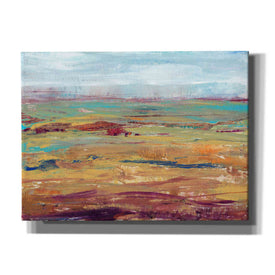 'Terra Vista II' by Tim O'Toole, Canvas Wall Art