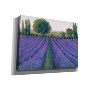 'Lavender Field II' by Tim O'Toole, Canvas Wall Art