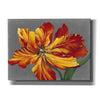 'Tulip Portrait I' by Tim O'Toole, Canvas Wall Art