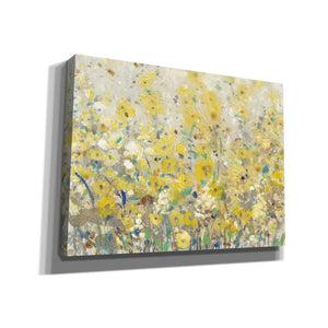 'Cheerful Garden I' by Tim O'Toole, Canvas Wall Art