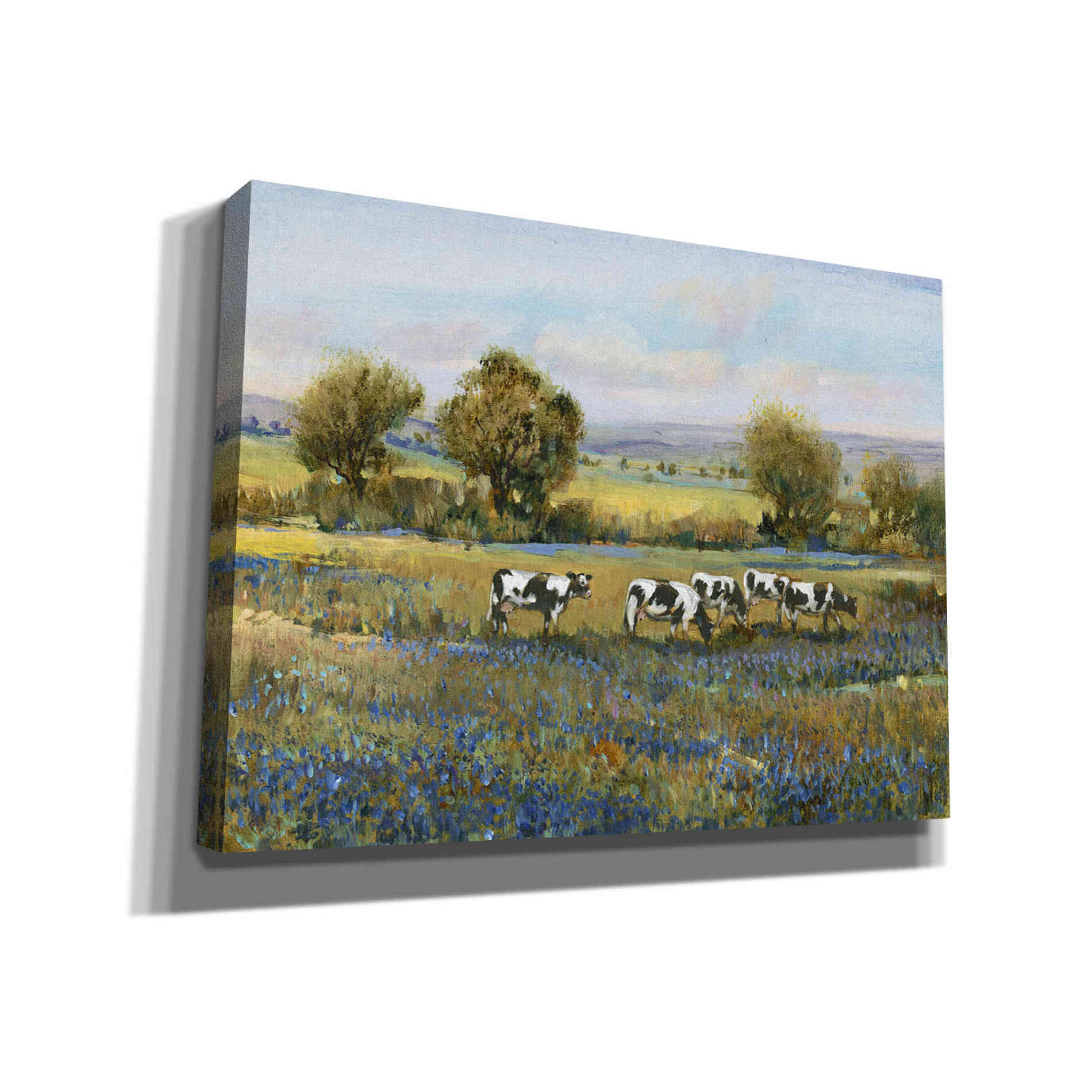 'Field of Cattle I' by Tim O'Toole, Canvas Wall Art