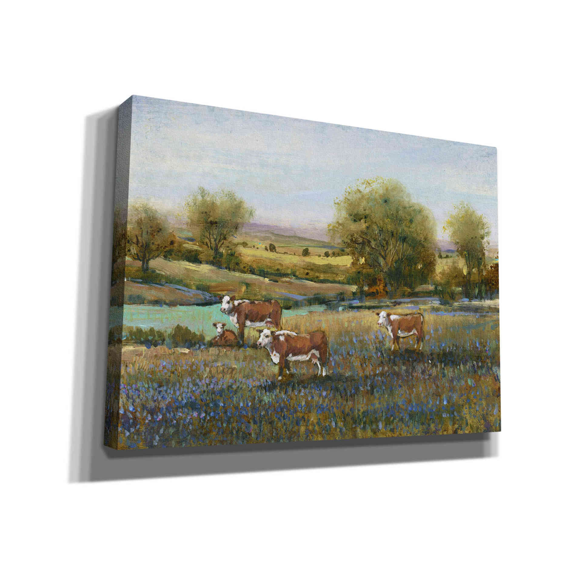 'Field of Cattle II' by Tim O'Toole, Canvas Wall Art