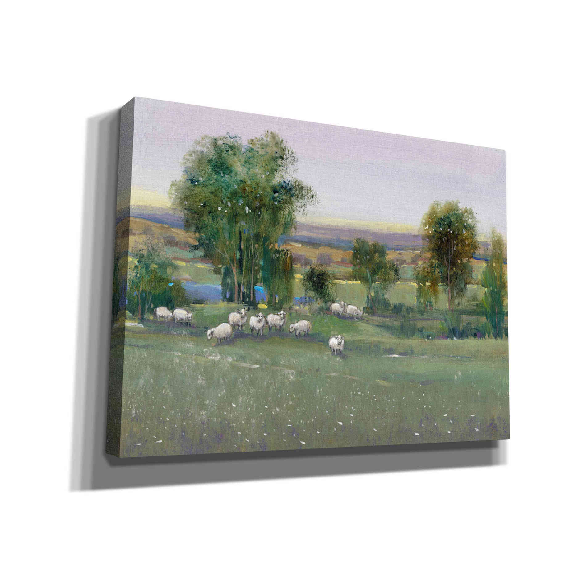 'Field of Sheep II' by Tim O'Toole, Canvas Wall Art