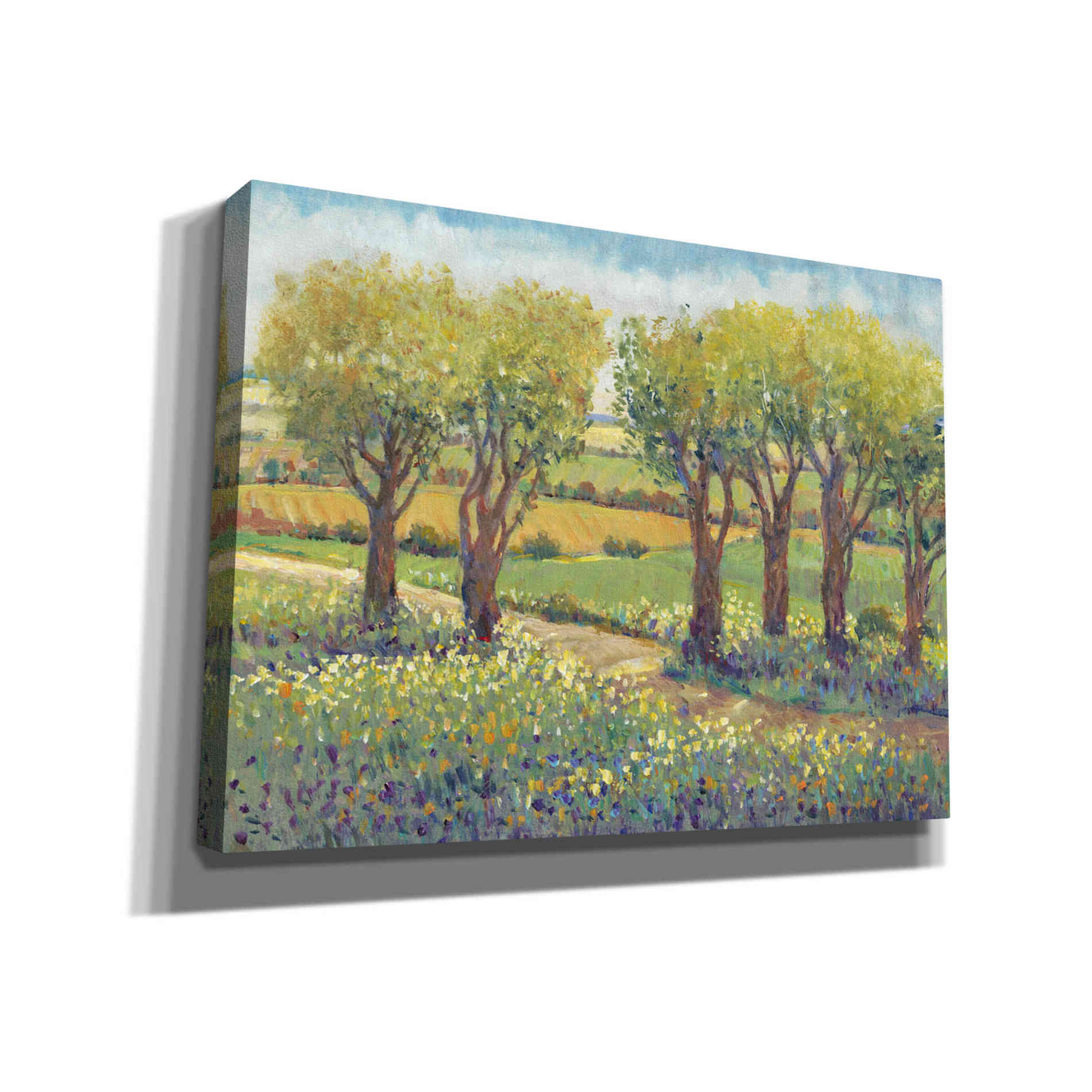 'Garden Path I' by Tim O'Toole, Canvas Wall Art
