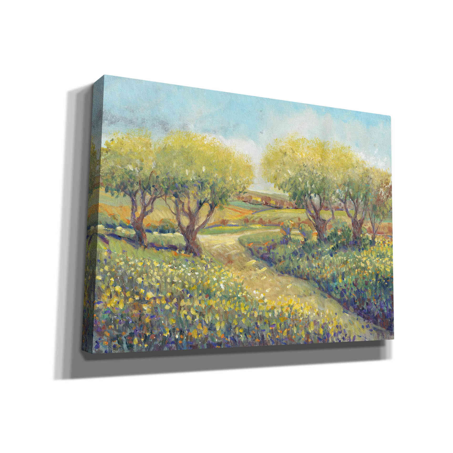 'Garden Path II' by Tim O'Toole, Canvas Wall Art