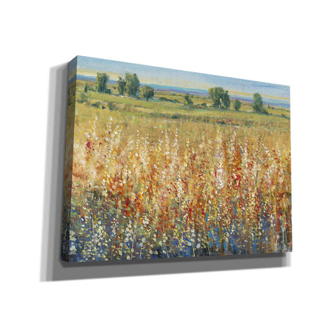 Image of 'Gold and Red Field II' by Tim O'Toole, Canvas Wall Art
