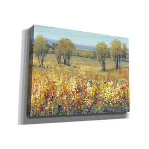 'Golden Fields II' by Tim O'Toole, Canvas Wall Art