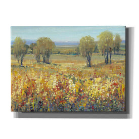 'Golden Fields II' by Tim O'Toole, Canvas Wall Art