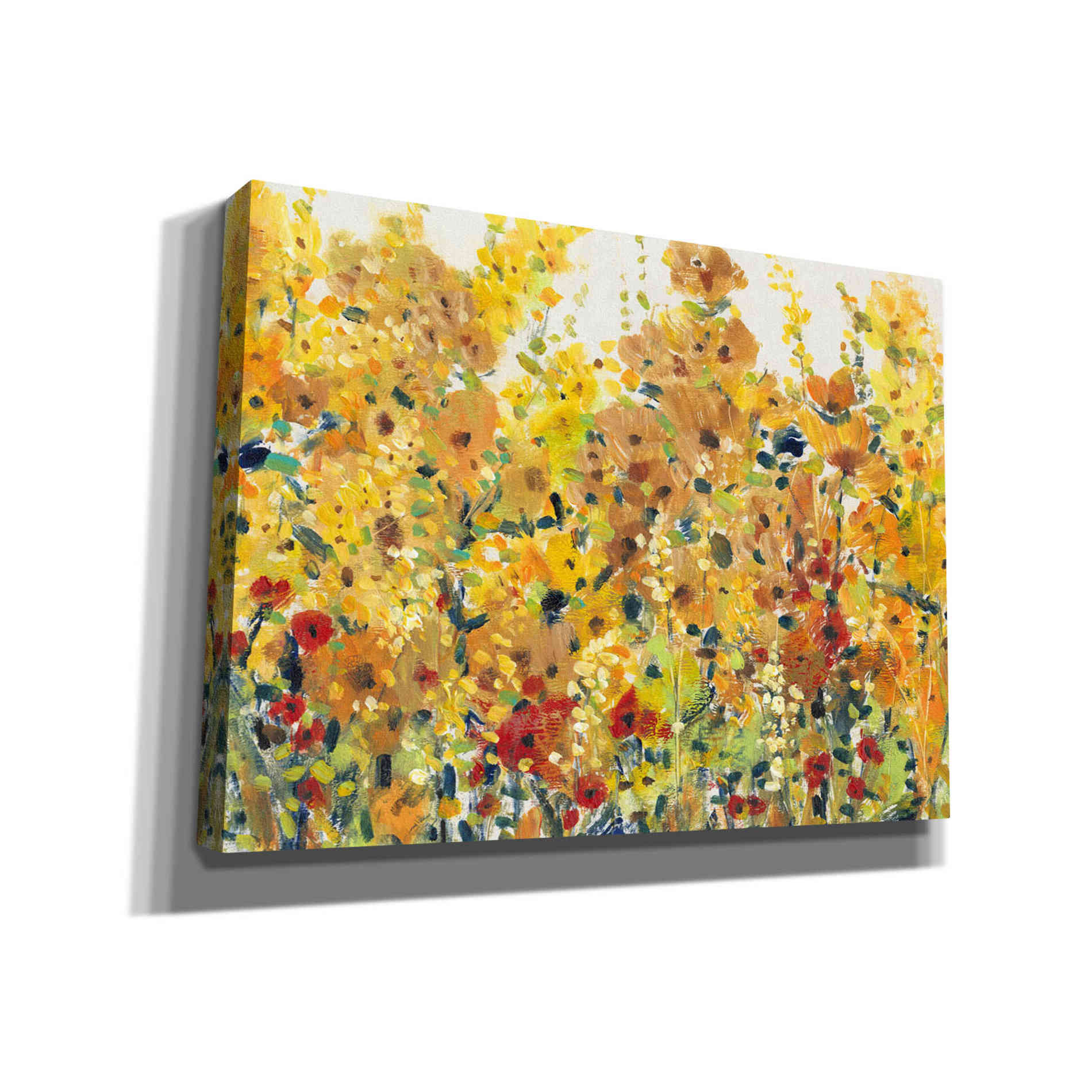 'Golden Summer Garden I' by Tim O'Toole, Canvas Wall Art