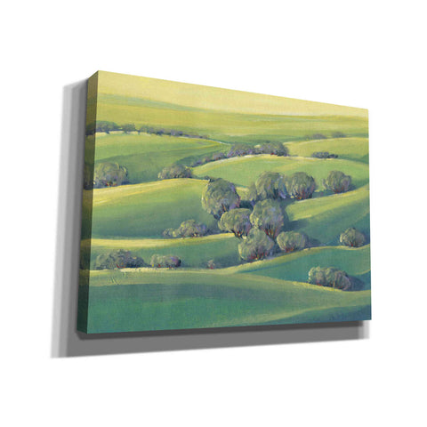 Image of 'Hillside View II' by Tim O'Toole, Canvas Wall Art