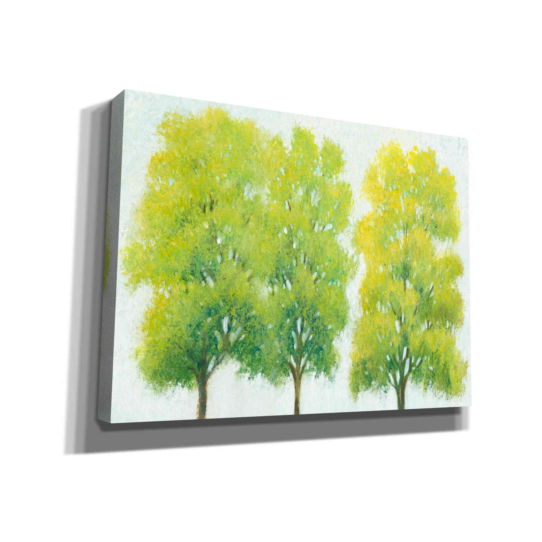 'Spring Eternal I' by Tim O'Toole, Canvas Wall Art