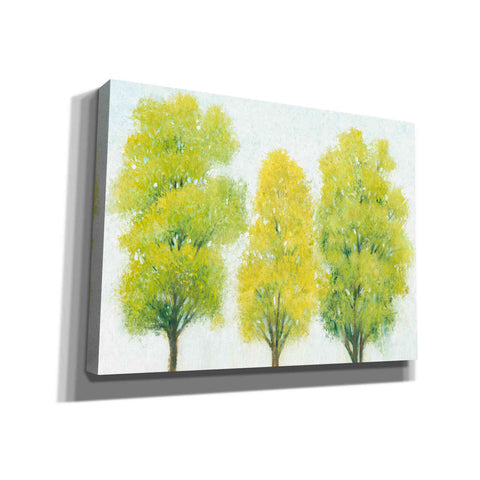 Image of 'Spring Eternal II' by Tim O'Toole, Canvas Wall Art
