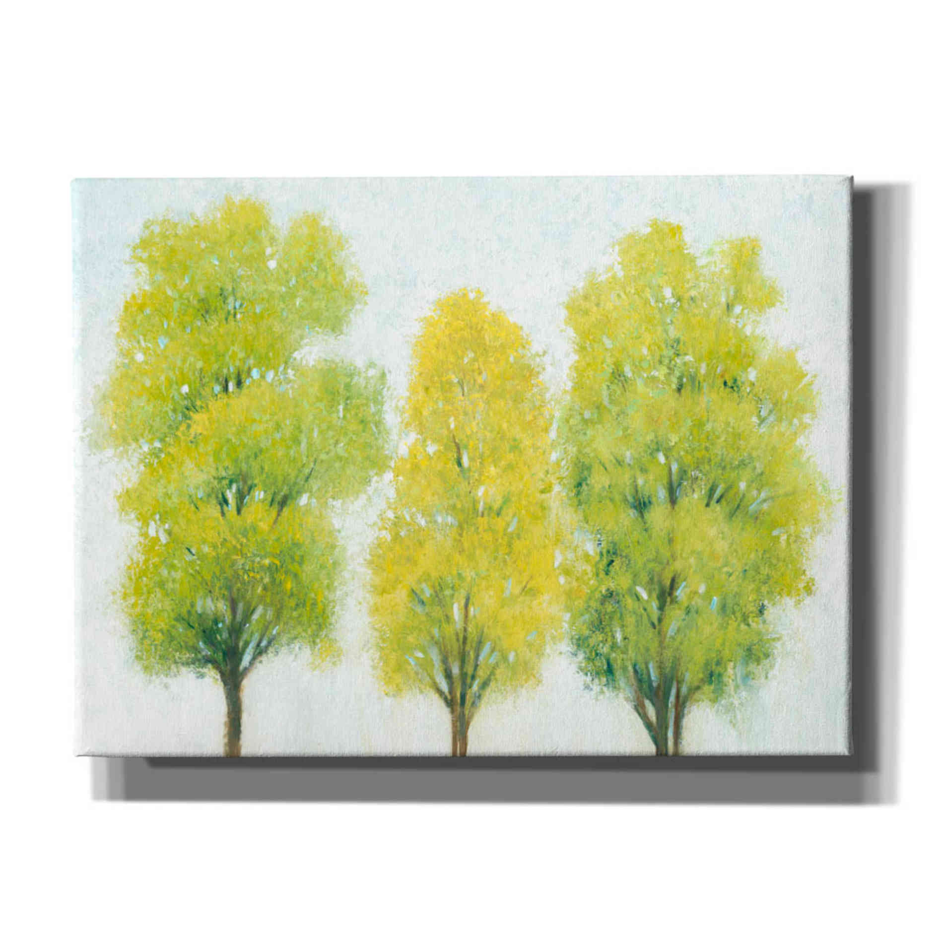 'Spring Eternal II' by Tim O'Toole, Canvas Wall Art