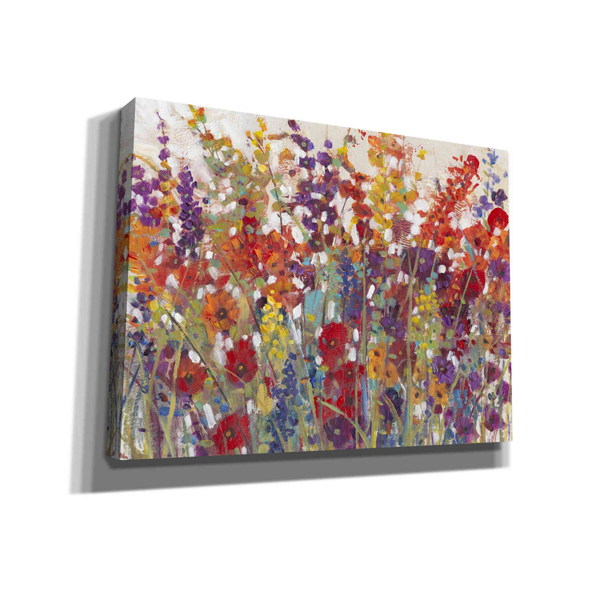 'Variety of Flowers II' by Tim O'Toole, Canvas Wall Art
