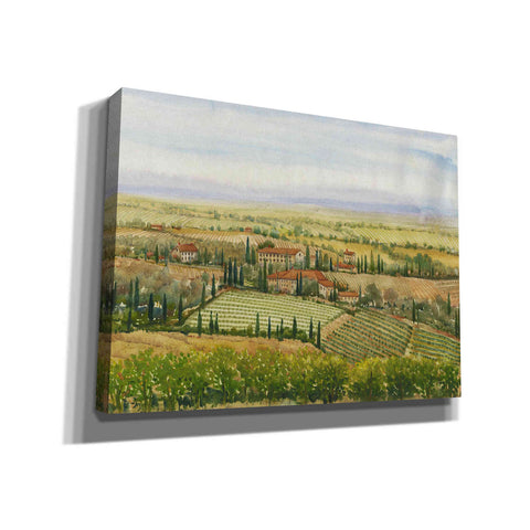 Image of 'Wine Country View II' by Tim O'Toole, Canvas Wall Art