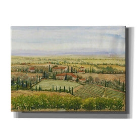 'Wine Country View II' by Tim O'Toole, Canvas Wall Art
