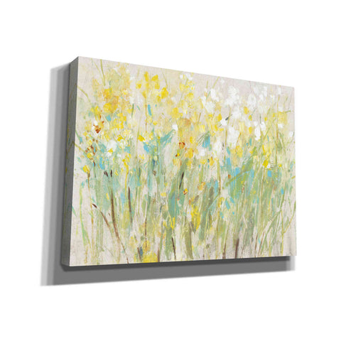 Image of 'Floral Cluster II' by Tim O'Toole, Canvas Wall Art