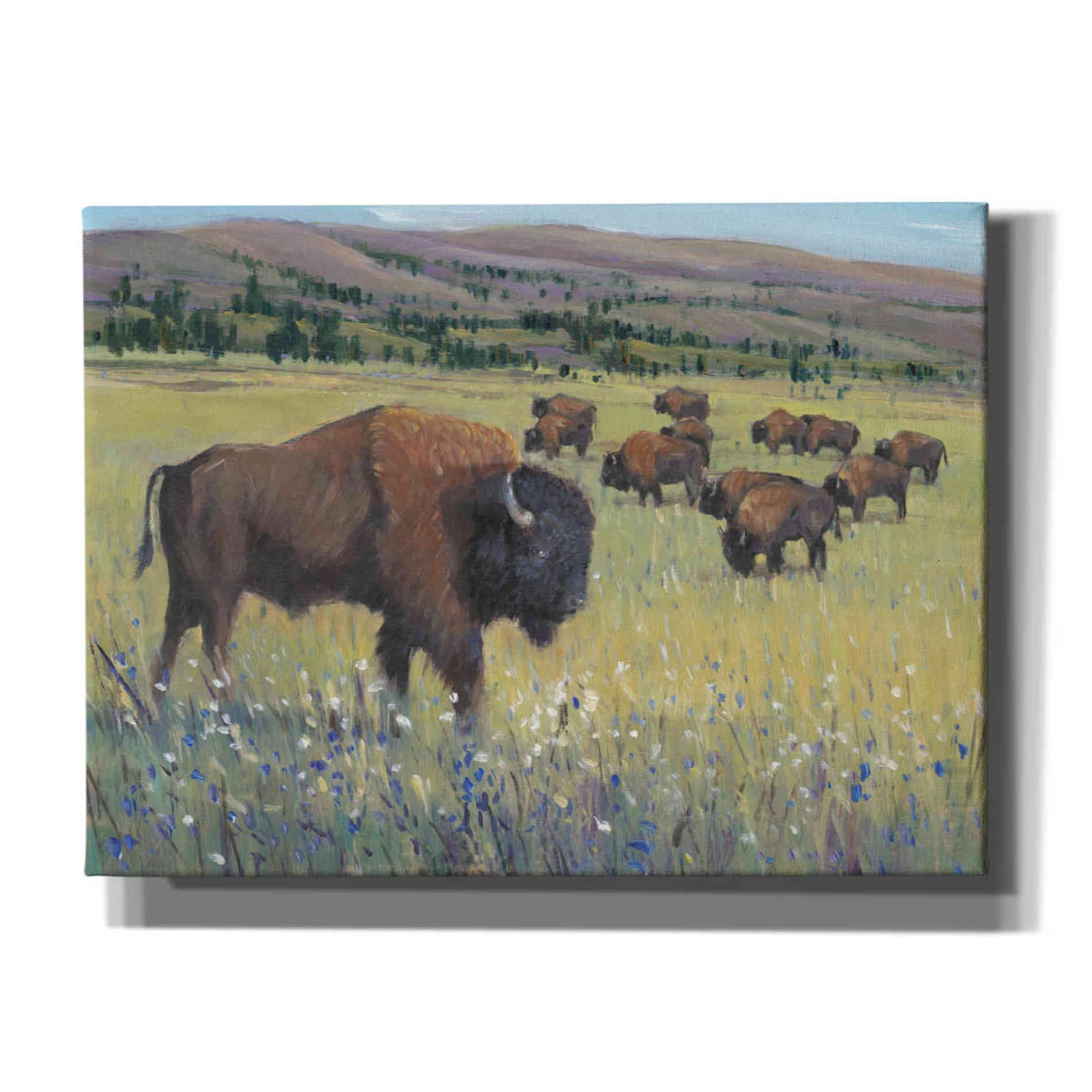 'Animals of the West I' by Tim O'Toole, Canvas Wall Art