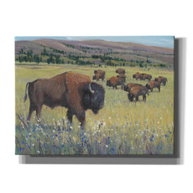 'Animals of the West I' by Tim O'Toole, Canvas Wall Art