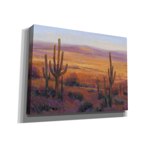 Image of 'Desert Light II' by Tim O'Toole, Canvas Wall Art