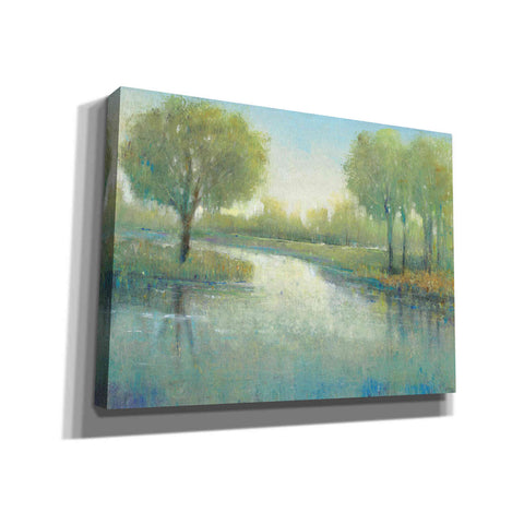Image of 'Winding River II' by Tim O'Toole, Canvas Wall Art