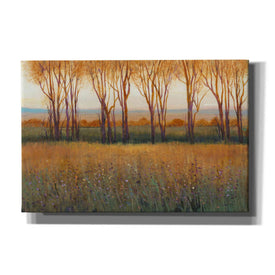 'Glow in the Afternoon II' by Tim O'Toole, Canvas Wall Art
