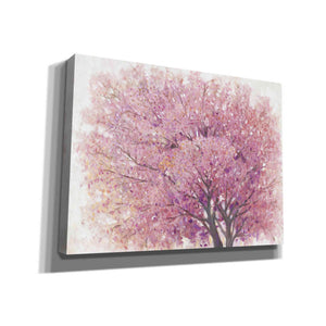 'Pink Cherry Blossom Tree II' by Tim O'Toole, Canvas Wall Art