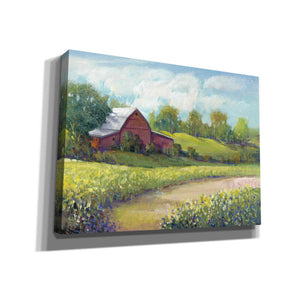 'Rural America II' by Tim O'Toole, Canvas Wall Art